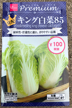 ダイソー種子　白菜85日