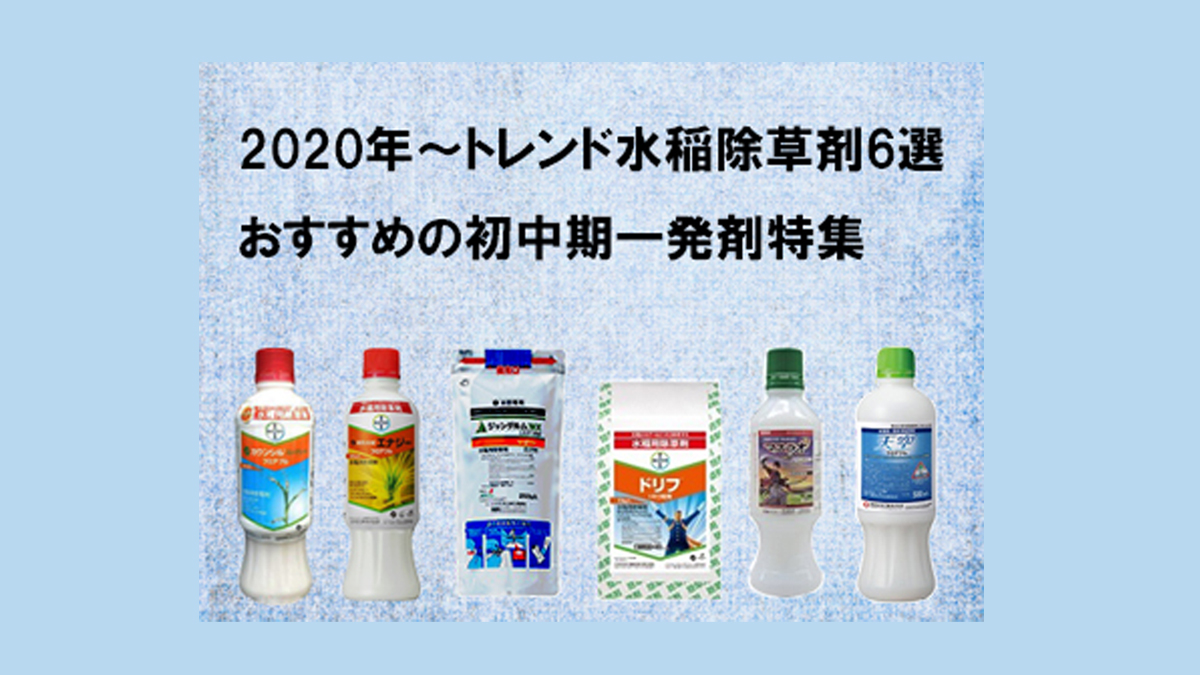 適切な価格 天空 ジャンボ 300g×3袋水稲用除草剤 初中期一発剤 fucoa.cl