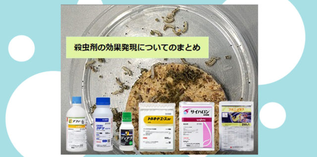 コテツフロアブル 効果発現 – 農業現場の病害虫・資材情報の発信サイト