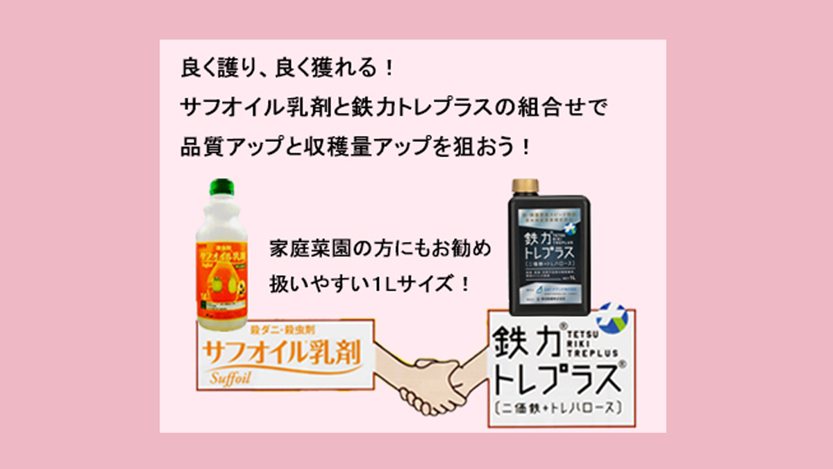 家庭菜園の方にもお勧めです！サフオイル乳剤と鉄力トレプラスで品質アップと収穫量アップを狙おう！ – 農業現場の病害虫・資材情報の発信サイト