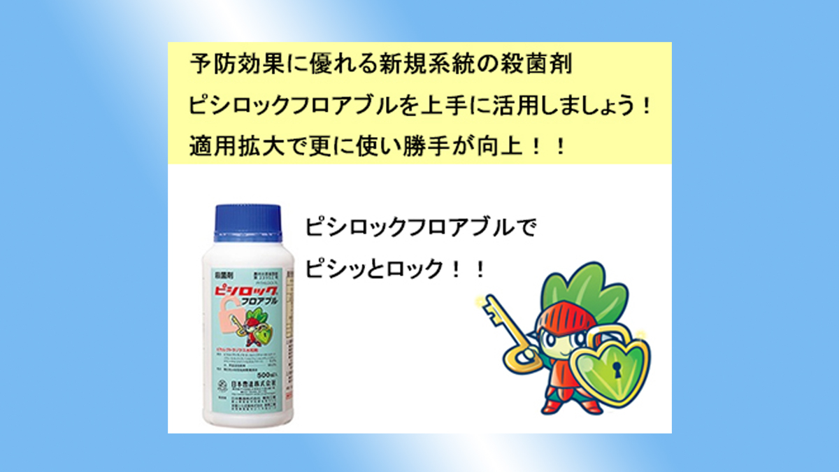 予防効果の高いピシロックフロアブルが適用拡大で更に使い勝手が向上しました！ – 農業現場の病害虫・資材情報の発信サイト