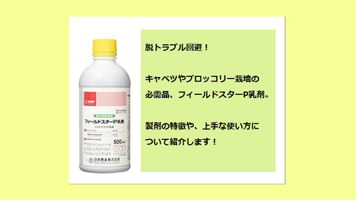 フィールドスターp乳剤 500ml 除草剤 Www Ivispisorrisi It